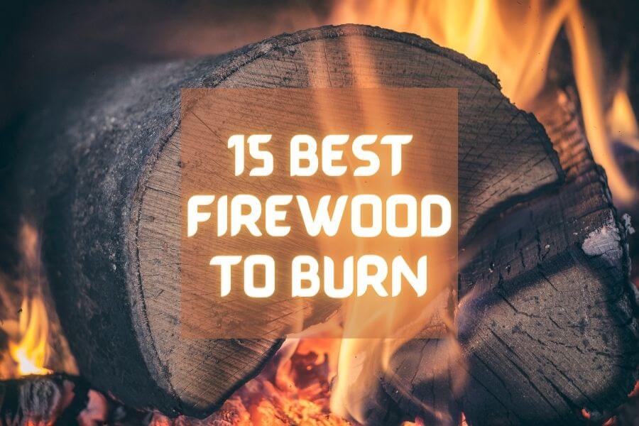 15 Best Firewood with Expert Tips for Safe Use