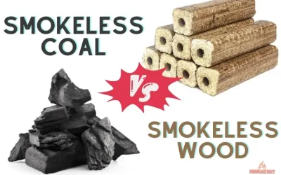 Smokeless Coal vs Smokeless Wood: The #1 Ultimate Winner